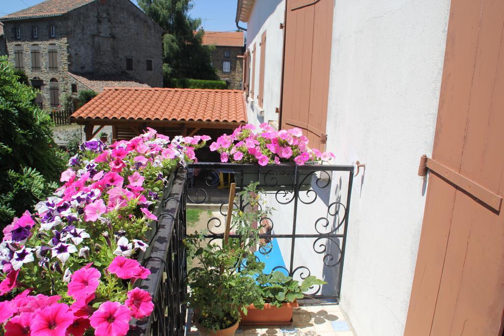La Maison Des Chats Saint-Mary-le-Plain Buitenkant foto
